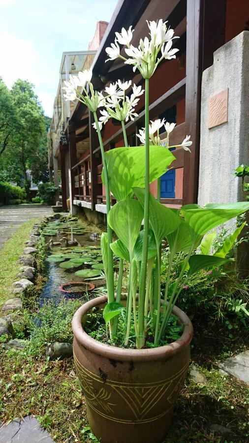 Apartmán Monet Garden Coffee Farm Chinan Exteriér fotografie